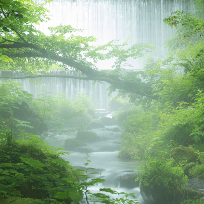 Beautiful misty mountain stream at Kitanisawa in summer, Daisen,